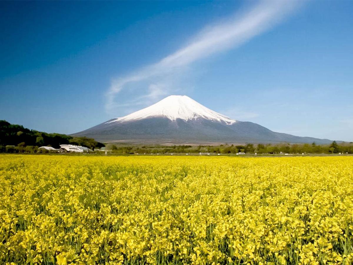 Yamanakako Pension Pause Exteriér fotografie